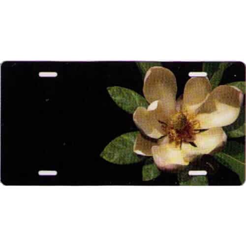 White Water Lily Novelty License Plate-t3117z