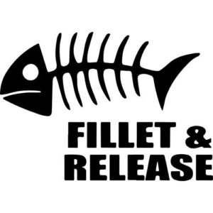 Fillet & Release Decal Sticker