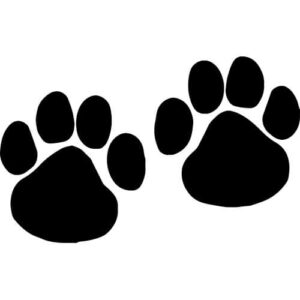 Paw Prints Decal Sticker