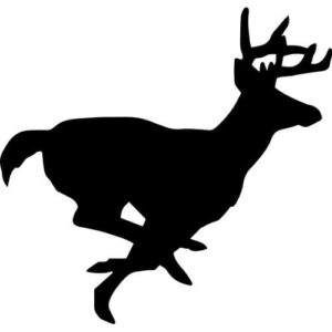 Buck Deer Decal Sticker