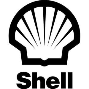 Shell Decal Sticker