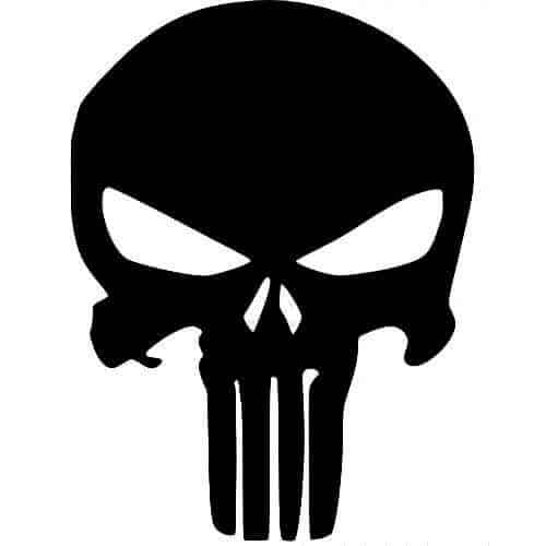 Punisher Biohazard Skull #2 Graphic Die Cut decal sticker Car Truck Boat Wall 9" 