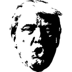 Trump Face Decal Sticker